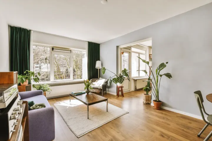 Amazing green drapery in a cozy, verdant living room