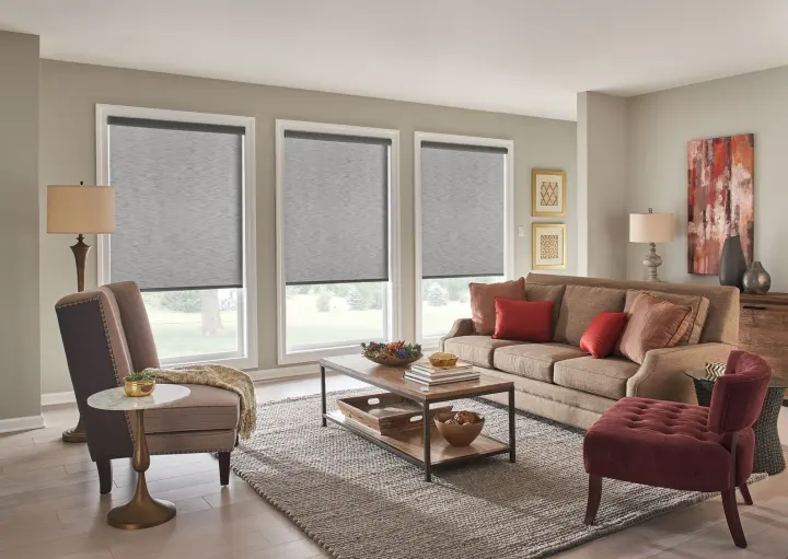 Elegant living room with custom roller window shades covering tall windows.
