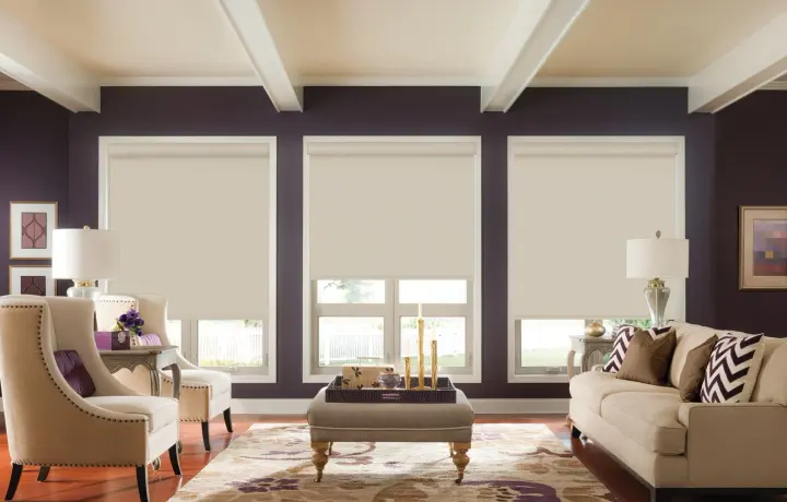 Elegant living room with cream roller window shades, deep plum walls, upholstered seating, decorative lamps, patterned pillows, ottoman, and warm natural light. 