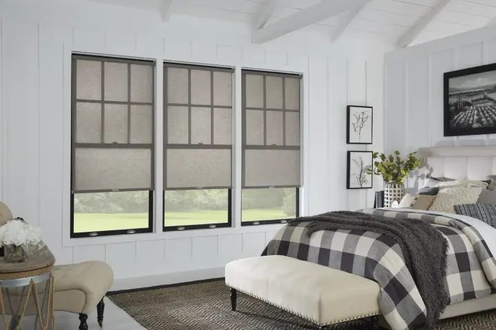 Roller shades on windows offering a view of the Arizona desert with cacti outside.