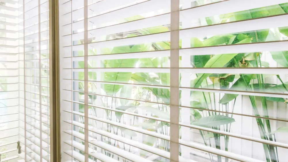 Closeup of an open blind overlooking plants outside